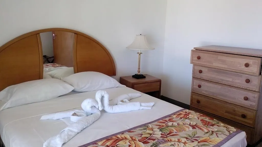 Palm View Guest House Montego Bay 2*,