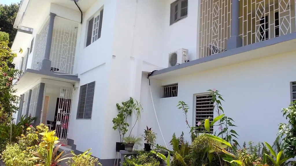 Palm View Guest House Montego Bay