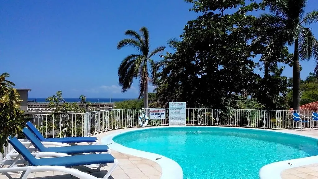 Palm View Guest House Montego Bay Hotel