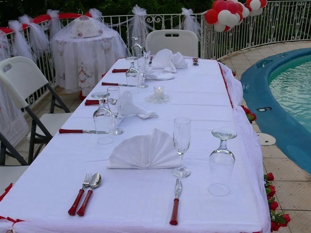 Hotel Palm View Guest House Montego Bay