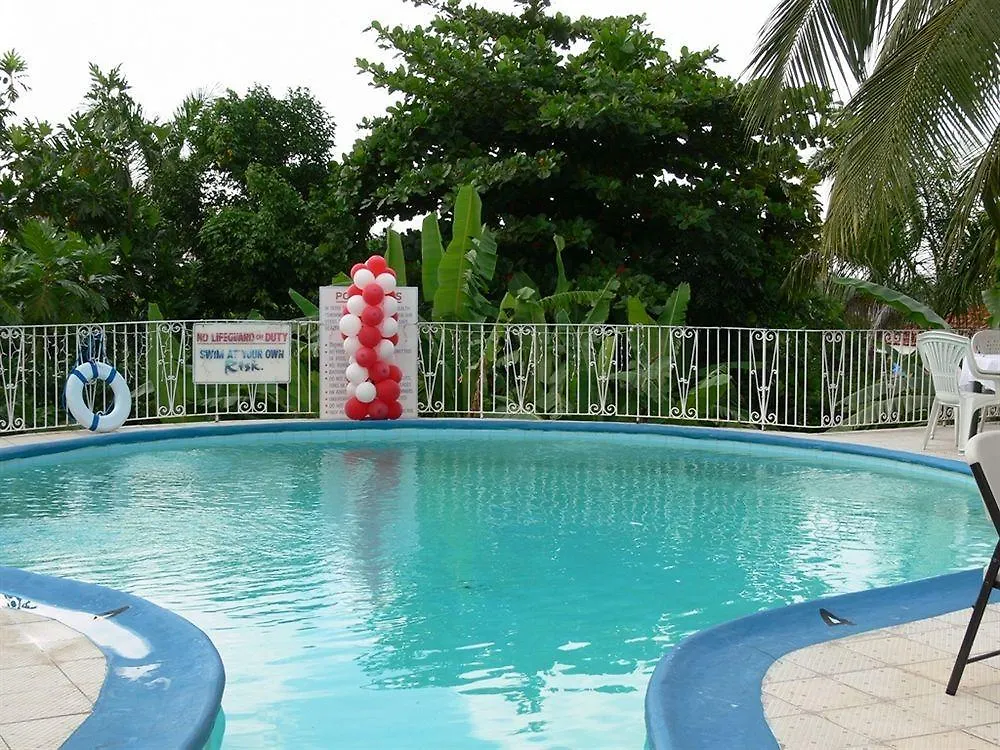 Palm View Guest House Montego Bay Hotel