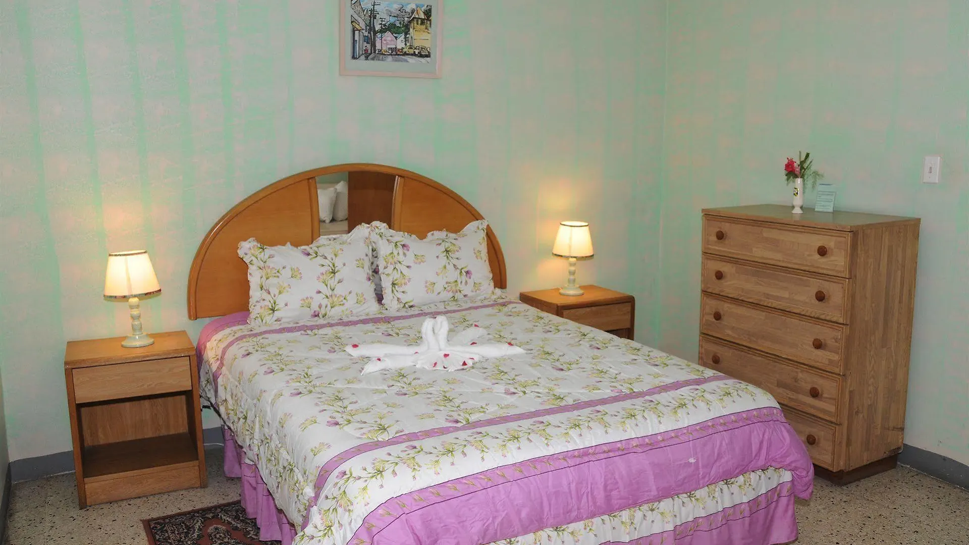 Palm View Guest House Montego Bay 2*,