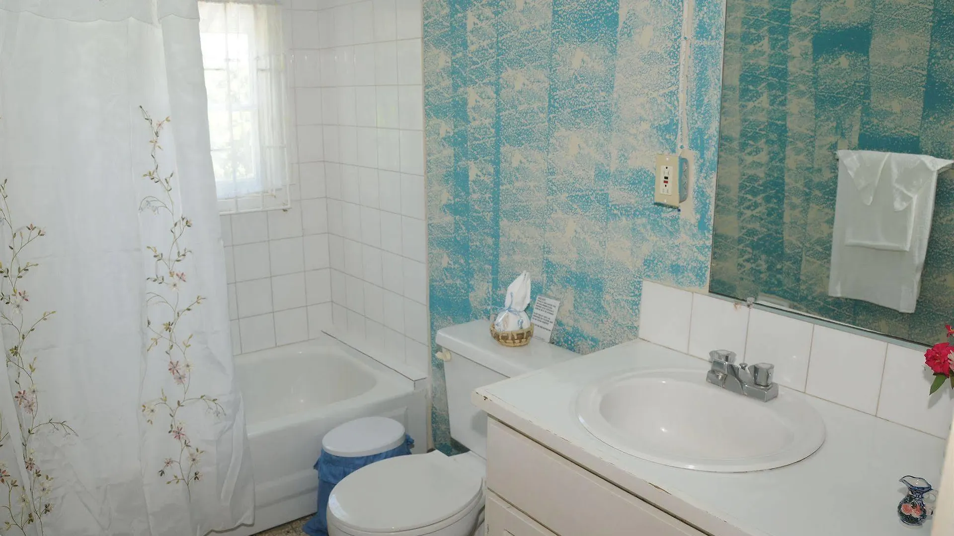 Palm View Guest House Montego Bay Hotel