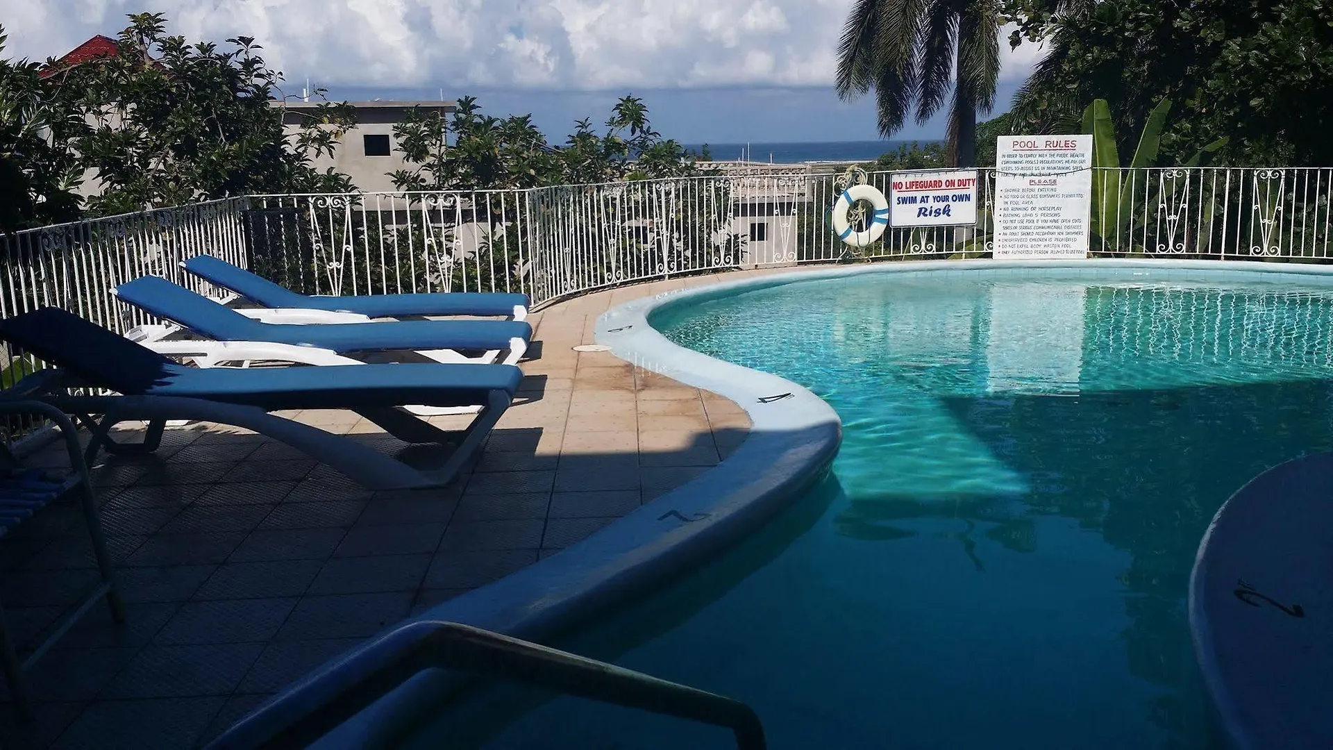 Palm View Guest House Montego Bay Hotel